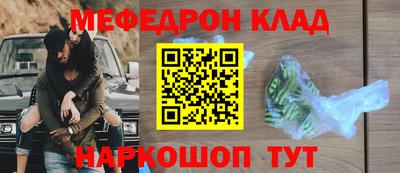 дмт Кингисепп